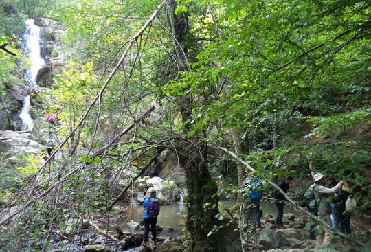 Yalova/Teşvikiye trekking gezimizi tamamladık...