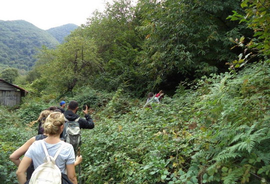 Yalova/Teşvikiye trekking gezimizi tamamladık...