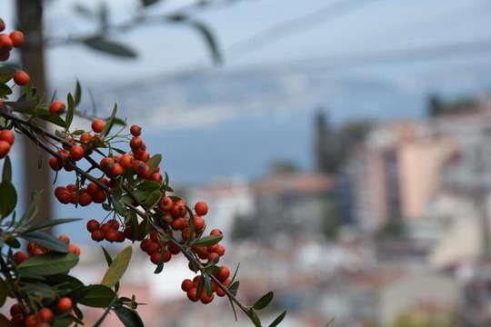 Kuzguncuk’u fotoğrafladık...