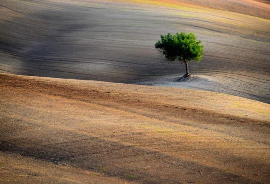 2015/Eylül ayının fotoğrafı İsmi Durmuş’tan geldi!