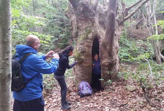 Yalova/Teşvikiye trekking gezimizi tamamladık...