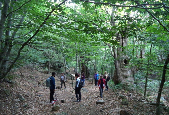 Yalova/Teşvikiye trekking gezimizi tamamladık...