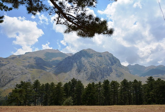 YAKUT Isparta Yenişarbademli kondisyon ve doğada yaşam odaklı kamp faaliyeti