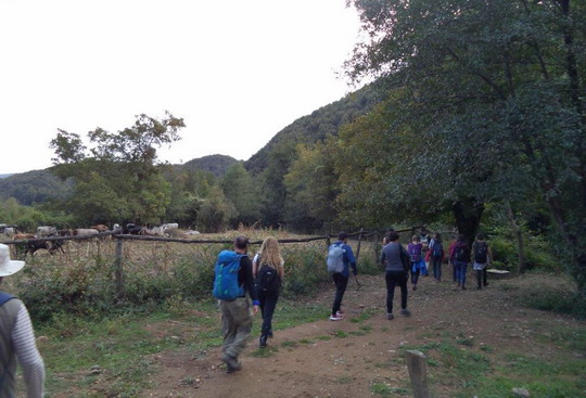 Yalova/Teşvikiye trekking gezimizi tamamladık...