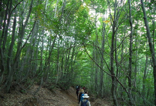 Yalova/Teşvikiye trekking gezimizi tamamladık...