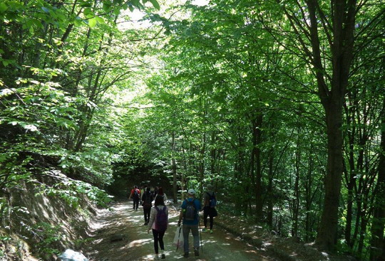 Menekşe Yaylası trekking turunu tamamladık...