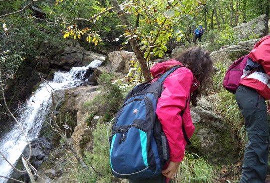 Yalova/Teşvikiye trekking gezimizi tamamladık...