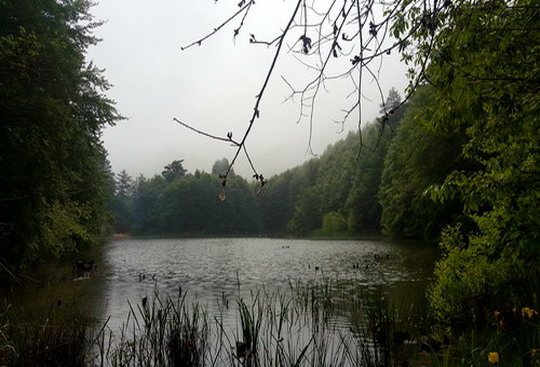 Çınarcık Teşvikiye trekking turunu tamamladık!