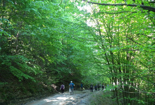 Menekşe Yaylası trekking turunu tamamladık...