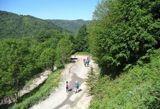 Menekşe Yaylası trekking turunu tamamladık...