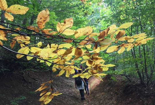 Yalova/Teşvikiye trekking gezimizi tamamladık...