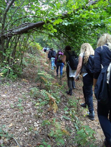 Yalova/Teşvikiye trekking gezimizi tamamladık...