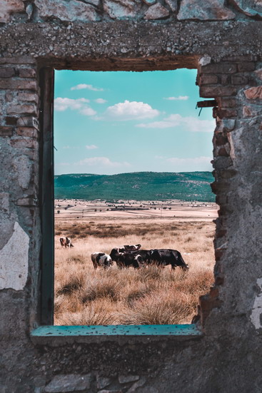 2017 / Ağustos ayının fotoğrafı Deniz Seçkinler’den  geldi!