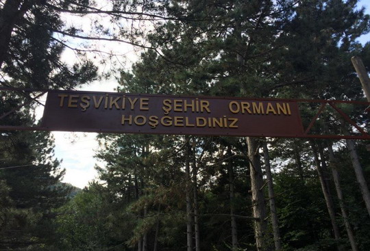 Yalova/Teşvikiye trekking gezimizi tamamladık...