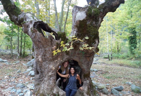 Yalova/Teşvikiye trekking gezimizi tamamladık...