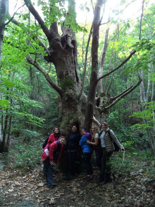 Yalova/Teşvikiye trekking gezimizi tamamladık...