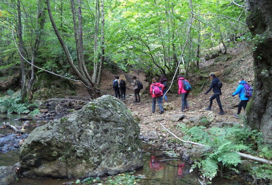 Yalova/Teşvikiye trekking gezimizi tamamladık...