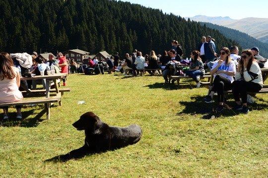 Giresun Kümbet Yaylası Şenliği...