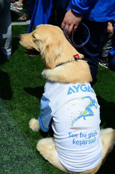 30. Koç Topluluğu Spor Şenliği görkemli bir kapanış töreniyle sona erdi!