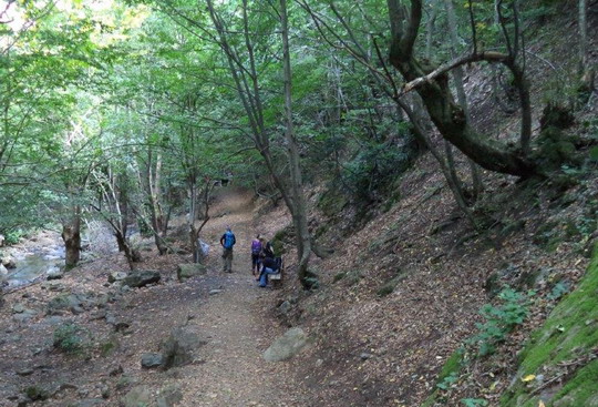 Yalova/Teşvikiye trekking gezimizi tamamladık...