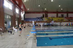 Videolar