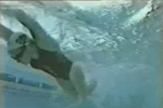 Videolar