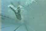 Videolar