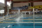 Videolar