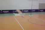 Videolar